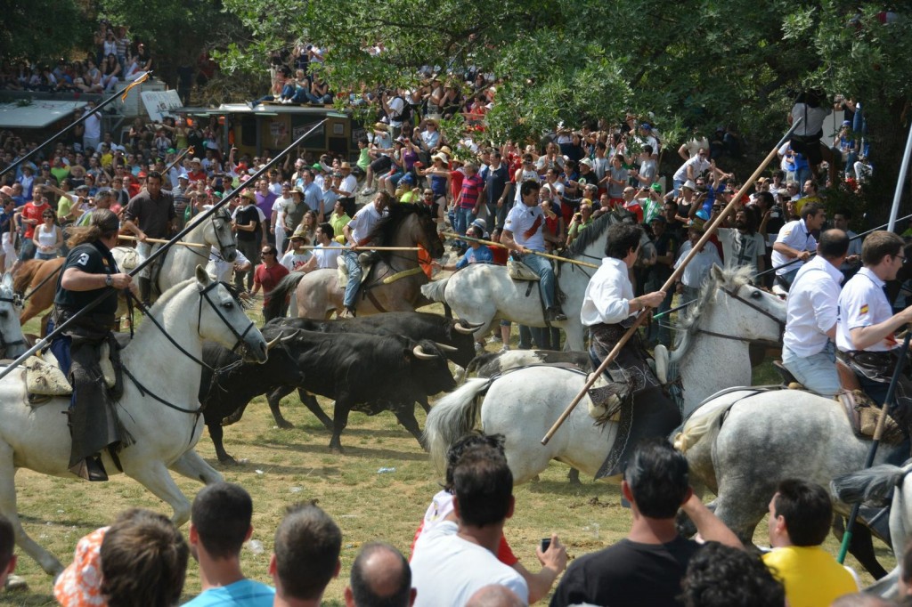 san juanes de soria