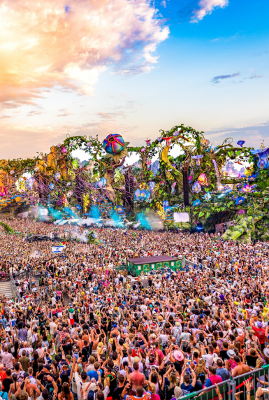 fin de curso Tomorrowland 2026